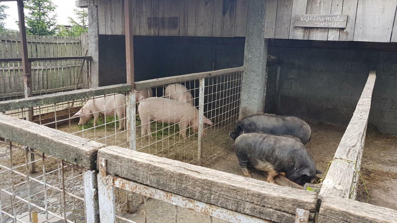 Acin Salas Tordinci Eksteriør bilde